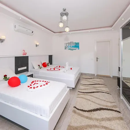 Eco Asena Villa *
